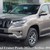 Toyota Land Cruiser Prado 2021 Màu Đồng Ánh Kim Giao Ngay