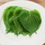 Hạt giống rau thơm mè Hàn Quốc thương hiệu Rạng Đông