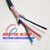 Cap-Sang-Jin-4C-x-1-5-MM2-cap-dieu-khien-loi-dong-co-chong-nhieu-Sangjin-RVVP-0-3-0-5kV