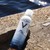 Xit-Khoang-Diu-Da-Vichy-Eau-Thermale-Mineralisante-300g