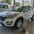 Hyundai Tucson chinh phục mọi địa hình