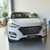 Hyundai Tucson chinh phục mọi địa hình