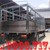Chương trình khuyến mãi xe tải Jac 9T1 nhập khẩu thùng 8m2 giá tốt nhất
