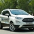 Ford Ecosport kết buồn cho kẻ khai phá nhưng không giữ được hào quang