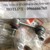 Rotuyn Cân Bằng Sau Honda CRV Giá Rẻ 52320SWAA01 OE