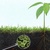 Đất hữu cơ biochar vi sinh trồng cây giá rẻ chất lượng