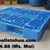 Pallet-nhua-tai-An-Giang-pallet-nhua-An-Giang-voi-gia-re-canh-tranh
