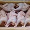 Gà đông lạnh giá hấp dẫn
