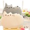 Mèo Pusheen nhồi bông Mèo bông Pusheen rẻ nhất Hà Nội. Freeship.
