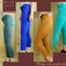Quần jean skiny vnxk 110k hàng cực đẹp Mã SP: M8009