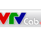 Combo Internet Truyền hình cáp VTVcab 220.000 VND/ tháng