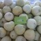 Dưa lê hữu cơ, Cam Xoàn Đồng Tháp, Táo xanh Ninh Thuận, Bơ sáp Đắc Lắc Michi Mart thực phẩm sạch