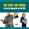 Bộ luật lao động 2015, bo luat la dong song ngu, bộn luật lao động song ngữ Anh Việt