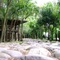Chào mừng quốc khánh 2 9 tại Thanh Thủy Resort
