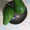 Bơ sáp, sầu riêng chín cây