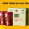 Đông Trùng Hạ Thảo Công Ty Tâm Đức Thịnh