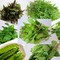 Hà Nội bán bánh tráng phơi sương Trảng Bàng, bánh hỏi, bánh canh, mỳ quảng, hủ tíu tươi