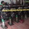Máy đầm đất mikasa máy zin nguyên