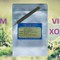 Thuốc đông y điều trị xoang