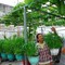 Bán ĐẤT THỔ CƯ, SỔ HỒNG: 48m2/ 170tr. Giáp Q12 Hocmon. Đường 5M, Gần chợ, đông dân. VEN SÔNG