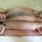 Cá khoai Đặc sản Nam Định Đang mùa sương mù Tươi ngon đảm bảo chất lượng Giá tốt nhất thị trường