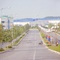 Ly hôn cần bán gấp lô đất 600m2 dãy trọ đang kinh doanh ổn định khu đô thị mới Bình Dương