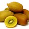 Kiwi vàng New Zealand