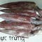 Mực trứng: 250k/1kg/20 con Nghĩa Hưng, NĐ Hải sản Minh Ngọc
