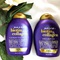 Bộ dầu gội mọc tóc Biotin Mỹ, không lo sợ tóc thưa tóc ít, giá iu thương