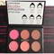 Phấn Má Hồng City Color Glow Pro Blush Palette Matte Collection