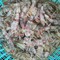 Bề bề trứng đảm bảo 10 con như 10