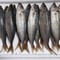 Cá nục tươi: 60k/1kg/7 8 con