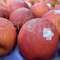 Táo Fuji Mỹ Hương vị ngọt ngào tại Klever Fruits Hà Nội
