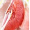 Cung cấp cây giống bưởi tứ quý, bưởi 2 vụ, bưởi 1 năm 2 vụ, bưởi hai vụ nhập khẩu chuẩn giống nhập khẩu, hỗ trợ vốn