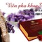 Điều trị viêm, nấm, vệ sinh âm đạo với viên đặt phụ khoa Silent Night