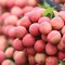 Chuyên cung cấp cây vải ghép, cây vải chiết vải triết cành , hàng chuẩn, giá tốt, giao cây toàn quốc