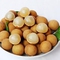 Cây giống nhãn muộn, cây nhãn sớm, nhãn indo nhãn thái ido , nhãn hạt lép, nhãn xuồng cơm, nhãn lồng. Hàng chuẩn