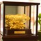Cá Rồng Dát vàng 24K