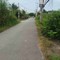 500m2 đất đường nhựa xe hơi 8m Nguyễn Văn Tạo Nhà Bè 4tr/m2