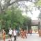 Hà Nội Làng Cổ Đường Lâm Thành Cổ Sơn Tây
