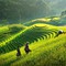 Hotel24h.net Tour giá rẻ Hà Nội Sapa Điện Biên..... 5n4đ