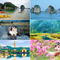 Du Lịch Miền Bắc Du lịch Hạ Long