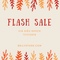 FlashSale 11.11 Beilystore Phụ kiện thú cưng