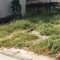 Bán 53m2 đất thổ cư ngõ 23 Thượng Phúc, mặt tiền 3,5m, ô tô đỗ cửa 901tr