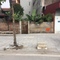 CC bán đất khu đấu gia đa sỹ, hà đông. 83m mt: 5m. sđcc. đường 17m. 46 tr/m2