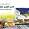 Trà Atiso túi lọc cao cấp hộp 50 gói 2g