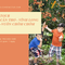 Tour Vườn Chôm Chôm Cùng Với Gia Đình Ngày Lễ 2/9