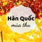 Thu Hàn Quốc Đẹp như phim