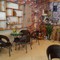 Sang nhượng quán cafe dt 35 m2 vỉa hè rộng mặt tiền 4 m gần chợ Mỗ Lao Q.Hà Đông Hà Nội