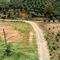 Khu nghỉ dưỡng 3,6 ha, view đồi, đường lớn, Cách trung tâm Bảo Lộc 13km